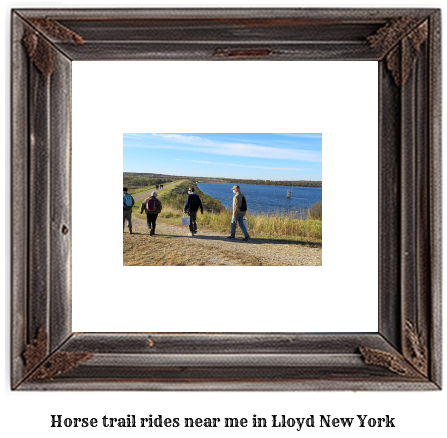 horse trail rides near me in Lloyd, New York